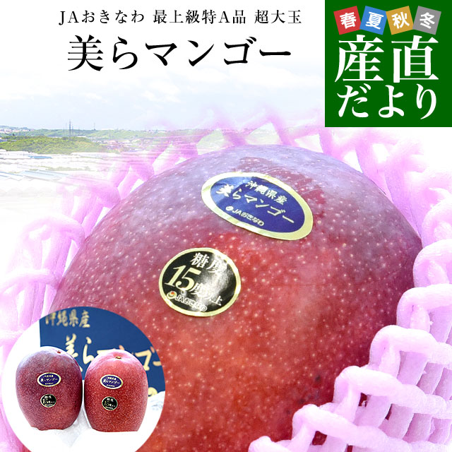 沖縄県より産地直送 JAおきなわ 美らマンゴー 最上級特A品 超大玉4Lから3Lサイズ 1キロ前後 （2玉入） 送料無料 沖縄マンゴー アップルマンゴー ちゅらマンゴー