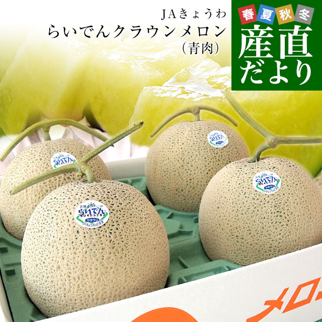 千葉県産 タカミメロン 2Lサイズ5個入り【お届け期間:6/17(火