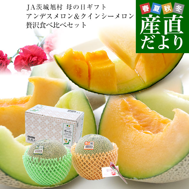 楽天市場】茨城県産 JA茨城旭村 クインシーメロン 優品以上 約5
