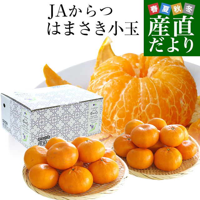 楽天市場】佐賀県より産地直送 JAグループ佐賀 にじゅうまる 4LからL