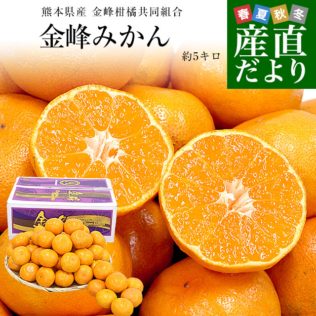 ぽんきんさん専用 槌屋ヤック株式会社