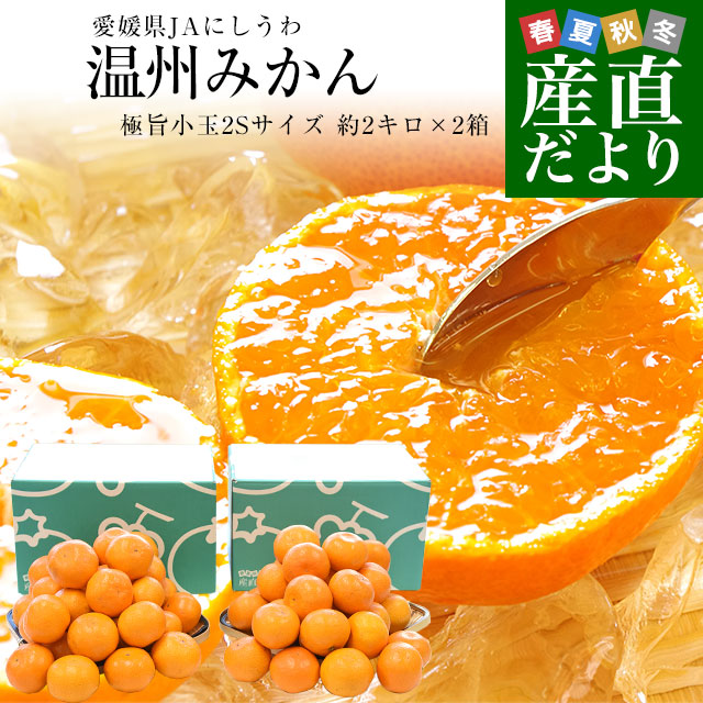 楽天市場】静岡県より産地直送 JAみっかび 三ケ日みかん (青島種) 3L