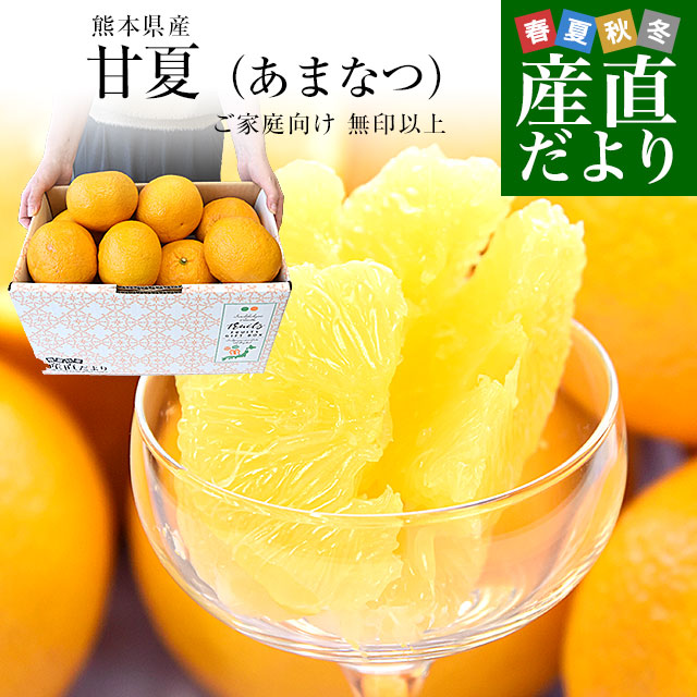 楽天市場】熊本県 田の浦柑橘組合 「紅甘夏」Lサイズ 約2キロ(6玉