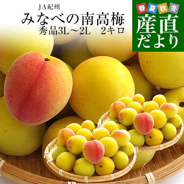 和歌山県産 JA紀州 みなべの南高梅 3Lサイズから2Lサイズ 秀品 約2キロ（50玉から80玉前後） 梅 梅干 梅干し 梅酒 梅サワー 梅ジャム うめ ウメ
