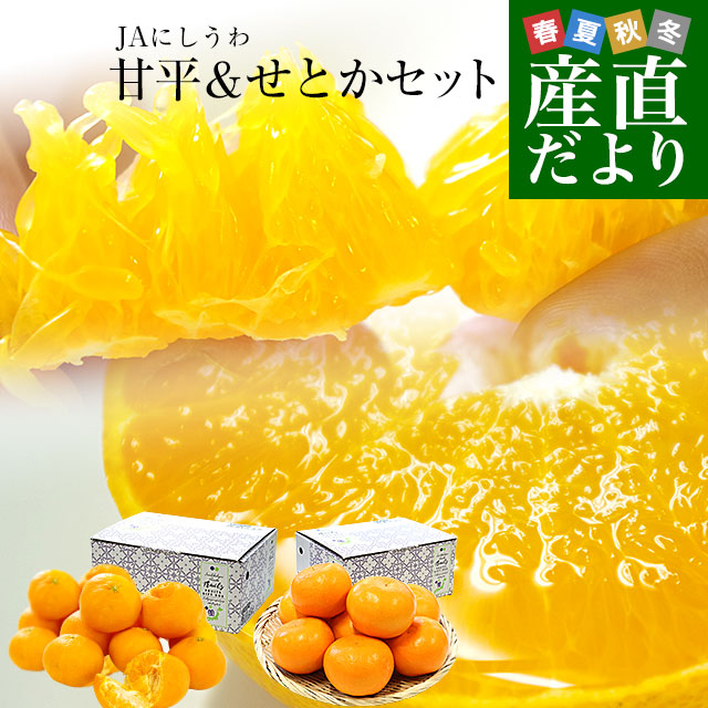 楽天市場】愛媛県 JAにしうわ はるか 2LからMサイズ 約2.5キロ (10玉