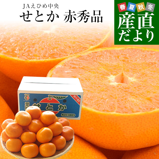 楽天市場】愛媛県より産地直送 JAえひめ南 玉津共選場 玉津の赤箱