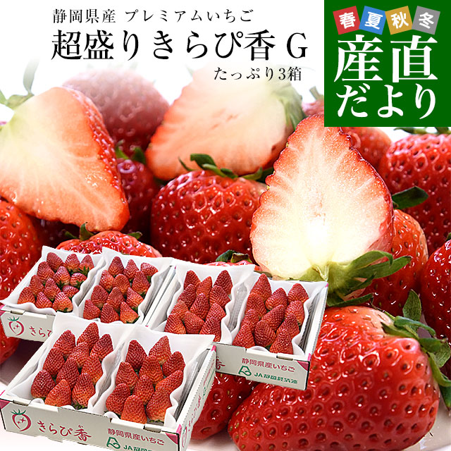 静岡県産 プレミアムいちご 超盛りきらぴ香 G たっぷり3箱 合計1.5キロ以上（約260g×6入り）計30粒から72粒入り 送料無料 苺 イチゴ