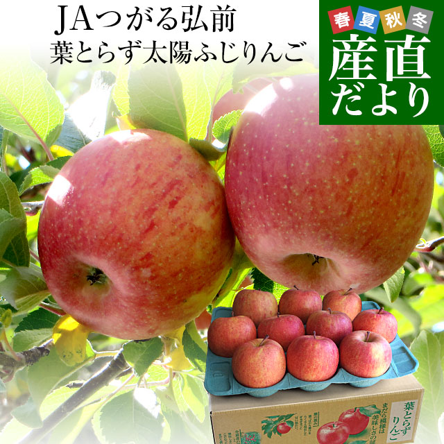 青森県より産地直送 JAつがる弘前 葉とらず太陽ふじりんご りんご 3キロ(9玉から13玉) 送料無料 糖度13度以上 林檎 リンゴ サンふじ さんふじ