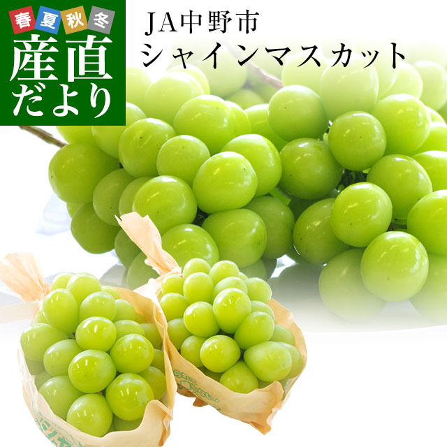 楽天市場 送料無料 長野県より産地直送 Ja中野市 シャインマスカット 合計1 2キロ 2房から3房入り ぶどう 葡萄 産直だより