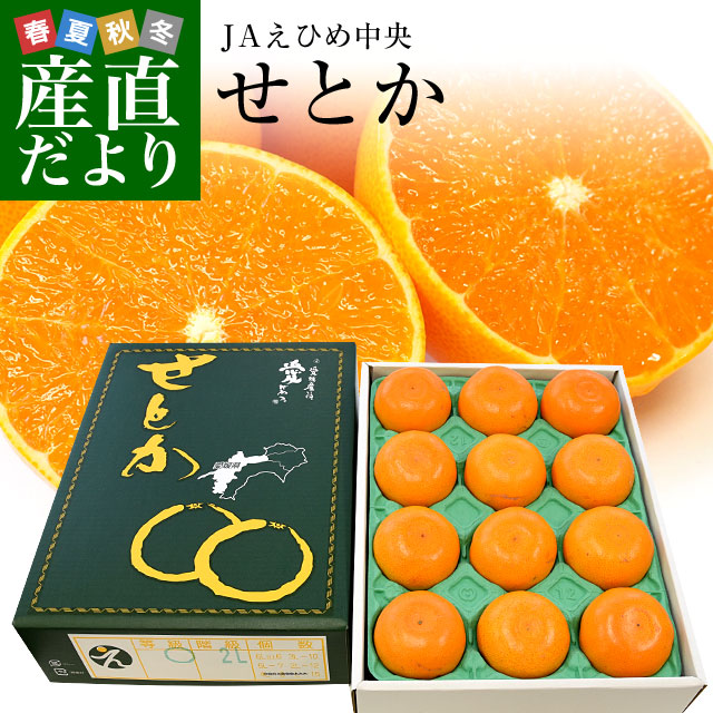 楽天市場 愛媛県より産地直送 Jaえひめ中央 せとか 優品２lからl 3キロ化粧箱 12玉から15玉入り 送料無料 柑橘 オレンジ 松山 愛媛中央 農協 産直だより