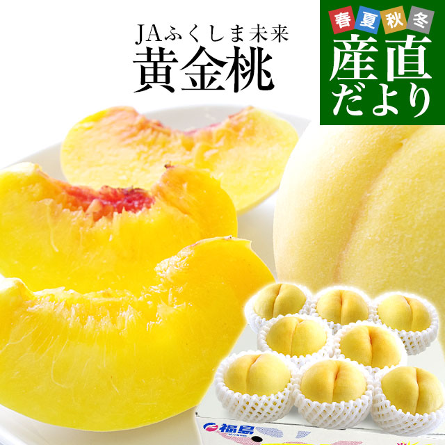 送料無料　福島県より産地直送　JAふくしま未来　ミスピーチ「黄金桃」 約2キロ（5玉から8玉） 桃 もも