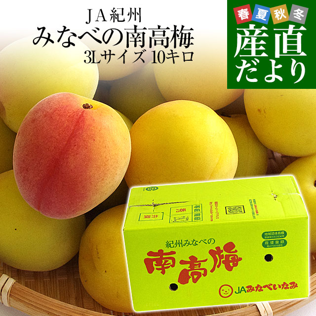 【楽天市場】和歌山県産 JA紀州 みなべの南高梅 3Lサイズ 10キロ 梅 梅干 梅干し 梅酒 梅サワー 梅ジャム うめ ウメ：産直だより