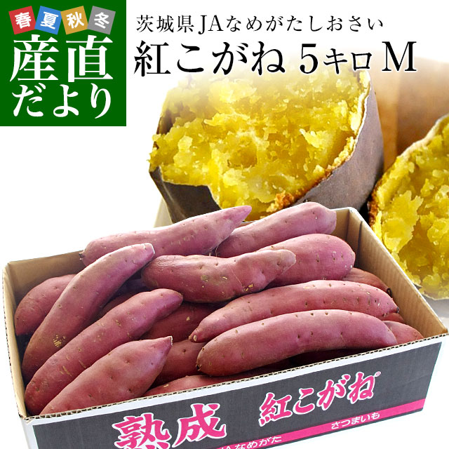 楽天市場 茨城県より産地直送 Jaなめがたしおさい さつまいも 熟成紅こがね Mサイズ 約5キロ 18本前後 送料無料 行方 薩摩芋 産直だより