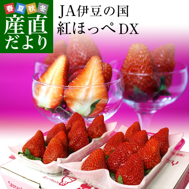 楽天市場】【2023年発送】 送料無料 佐賀県より産地直送 JAからつ 新 