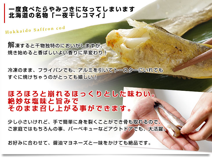 送料無料北海道産コマイ(氷下魚)の氷温乾燥一夜干し約1キロ(200g×5袋)