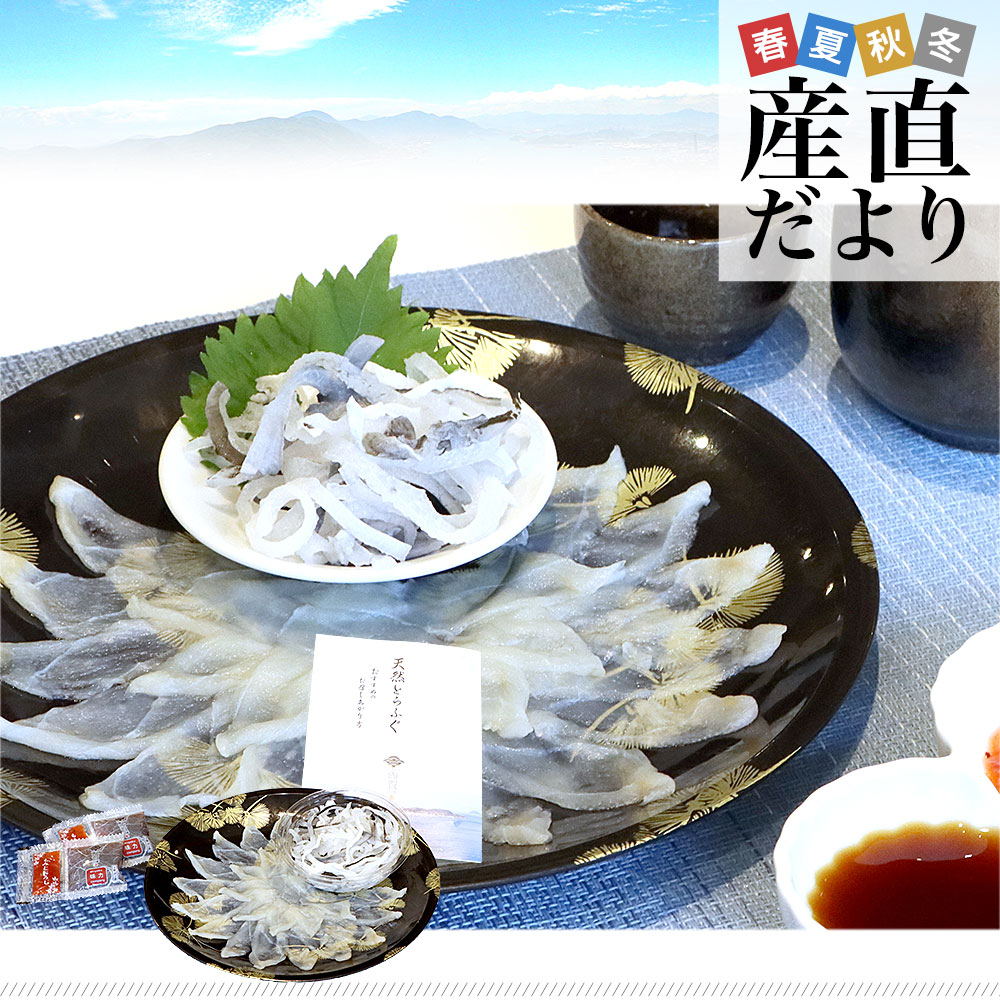山口県下関市から直送 山賀 天然トラフグ刺身セット（刺身50g、皮刺し30g、ポン酢、もみじおろし）送料無料 河豚 ふぐ とらふぐ てっさ ※クール冷凍便