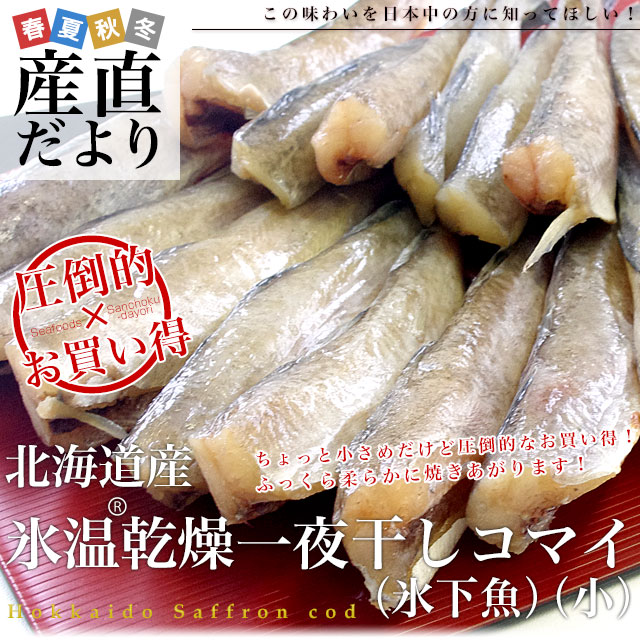 北海道産コマイ(氷下魚)の一夜干し