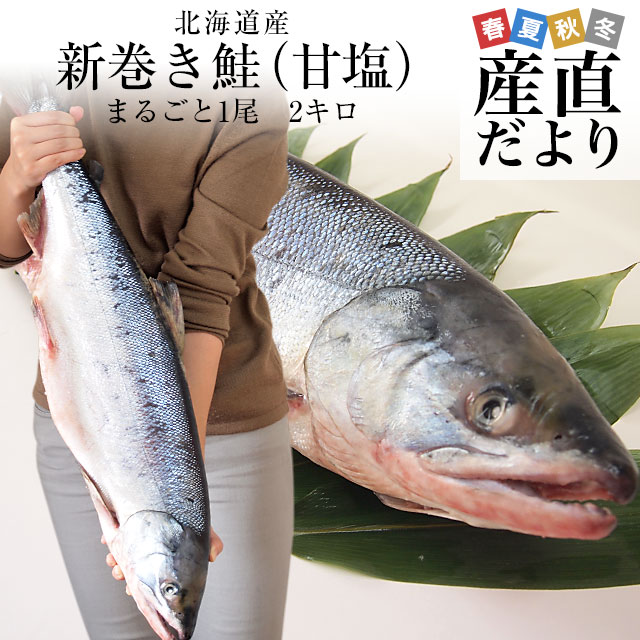 北海道から産地直送　北海道産　新巻き鮭（甘塩）　まるごと1尾　2キロ 送料無料　さけ　サケ　ギフト
