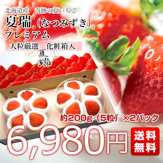 市場 北海道より産地直送 プレミアム なつみずき 夏瑞 高級いちご