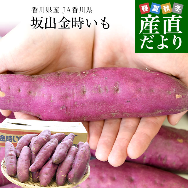 さつまいも さつまいも 徳島県産新物鳴門金時Sサイズ5kg - メルカリ