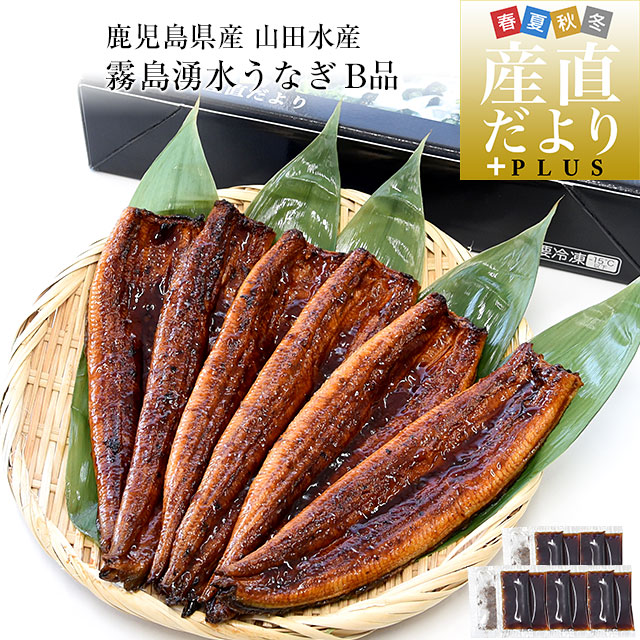 鹿児島県志布志産 山田水産 ご家庭向け 霧島湧水うなぎ B品 計700g（5尾から7尾詰め）送料無料 鰻師 加藤尚武さん シーフード