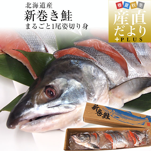 北海道より直送　新巻鮭 姿切り身 大型の鮭 まるごと1尾分 約2.5キロ 送料無料　北海道サケ シャケ 秋鮭 新巻き鮭｜産直だより＋PLUS