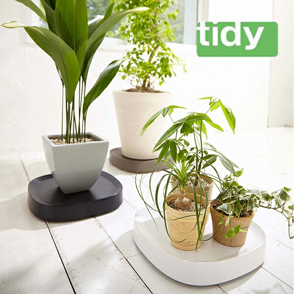 楽天市場 ポイント最大１５倍 Tidy ティディ プランタブル Plantable 植木鉢トレー 観葉植物 デザイン雑貨 玄関 ガーデニング バルコニー ベランダ オフィス デザイン雑貨 テラモト 三丁目商店