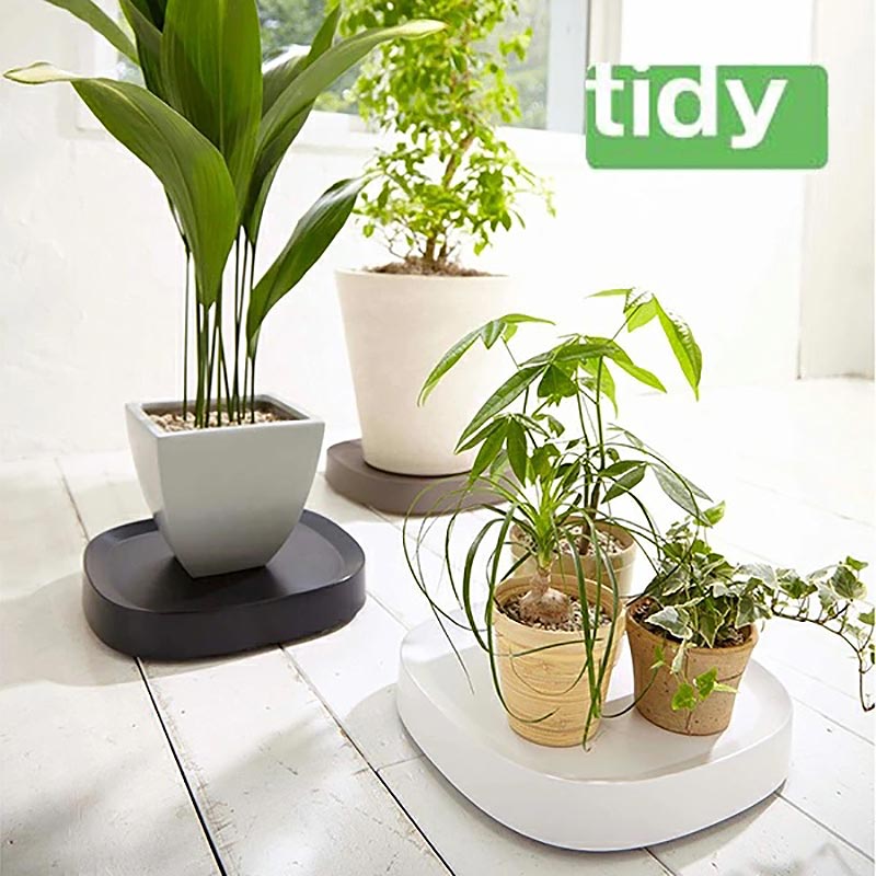 楽天市場 ポイント最大倍 Tidy ティディ プランタブル L Plantable L 植木鉢トレー 観葉植物 デザイン雑貨 玄関 ガーデニング バルコニー ベランダ オフィス デザイン雑貨 テラモト キャスター付き 三丁目商店