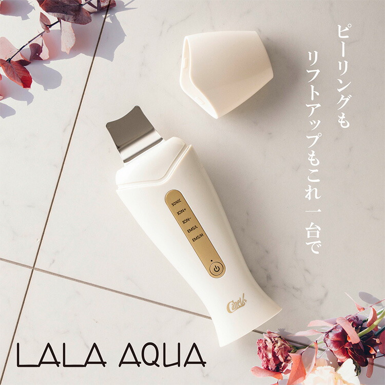 楽天市場】展示品 AQUA SURE H2 アクアピーリング&ガルバ