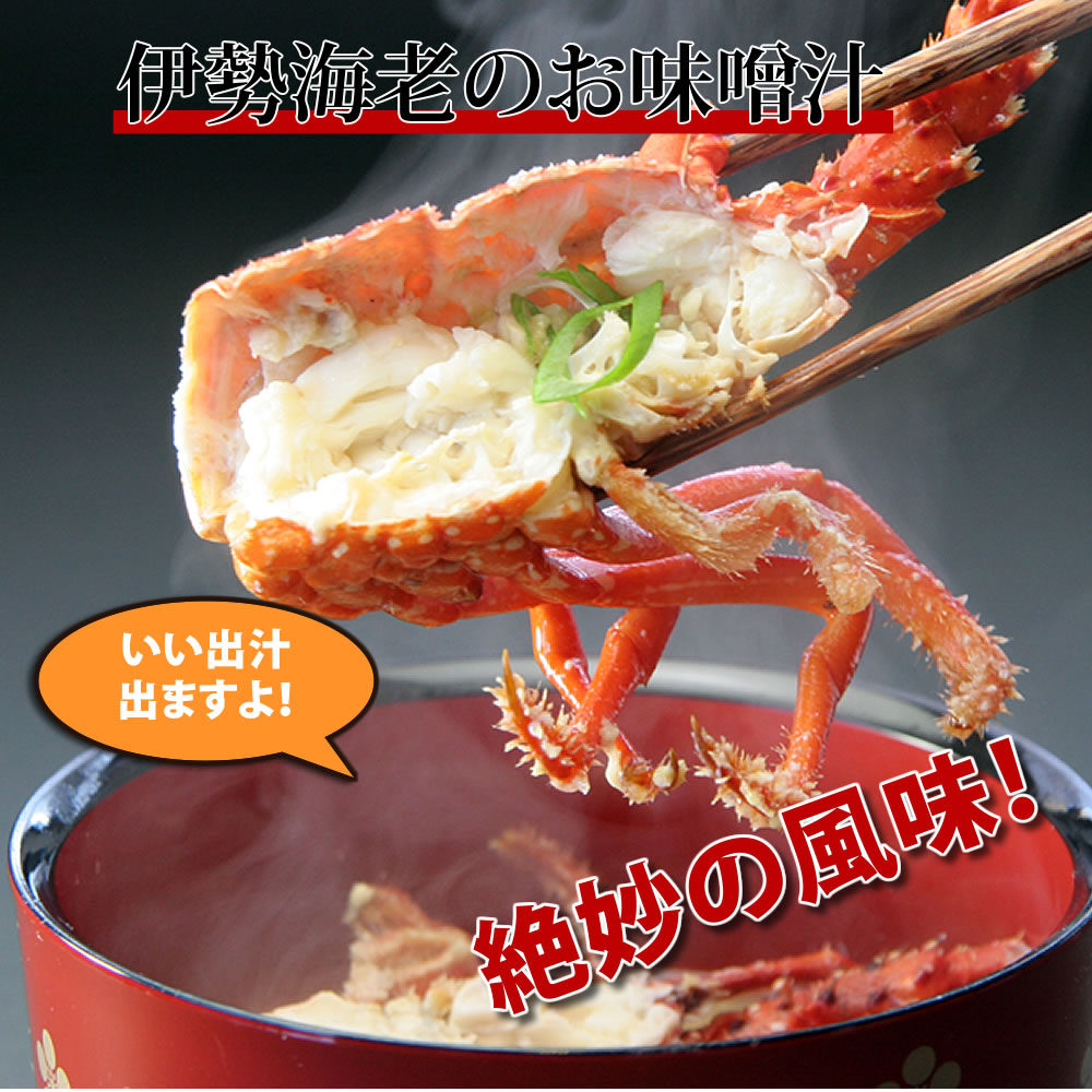 伊勢海老 長寿祝い 訳あり 訳あり 長寿祝い 伊勢エビ ご家庭用セット 2 3尾で500g分 さばき方dvd付 キーホルダー 天然 いせえび 還暦祝い エビギフト Ss ありがとうわくわくの阿波の産直便冷凍ではありません 徳島県産伊勢海老を産地直送 ご家庭用のお買い得 伊勢