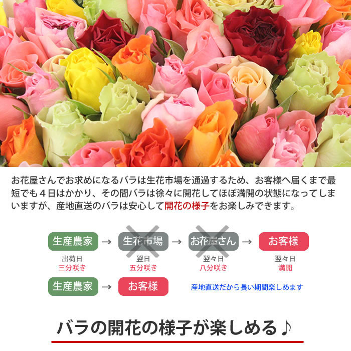 米寿祝い 花 観葉植物 バラの花束 切り花 おまかせ 50cm 本 無料ラッピング 産地直送 宅配便 送料込み 八十八歳 長寿祝い 才 八十八歳 徳島県産 コロナ応援薔薇 生花 切り花 切花 歳 誕生日プレゼントプレゼント 楽天スーパーsale ありがとうわくわくの阿波の 米寿祝い 花 観葉植物 バラの花束 切り花 おまかせ 50cm 本 無料ラッピング 産地直送 宅配便 送料込み 八十八歳 長寿祝い 才 八十八歳 徳島県産 コロナ応援薔薇 生花 切り花 切花 歳 誕生日プレゼントプレゼント 楽天スーパーsale ありがとうわくわくの阿波の