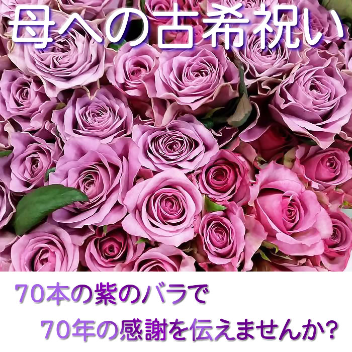 古希祝い 70本紫色のバラの花束 50cm 70本 無料ラッピング 長寿祝い 産地直送 送料無料 徳島県産 70才のお祝い 紫の薔薇 長寿祝い 70歳の誕生日に 古物商プレート 70才のお祝い 七十歳のお母さんへ 生花 切り花 ありがとうわくわくの阿波の産直便 お母さん 70回目の