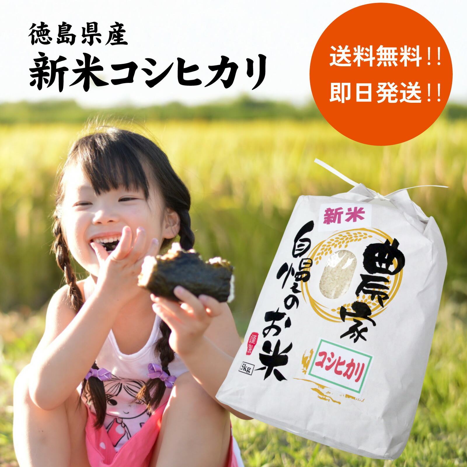 楽天市場】＼備蓄米よりやっぱり新米／ 令和7年産 新米 コシヒカリ 5kg