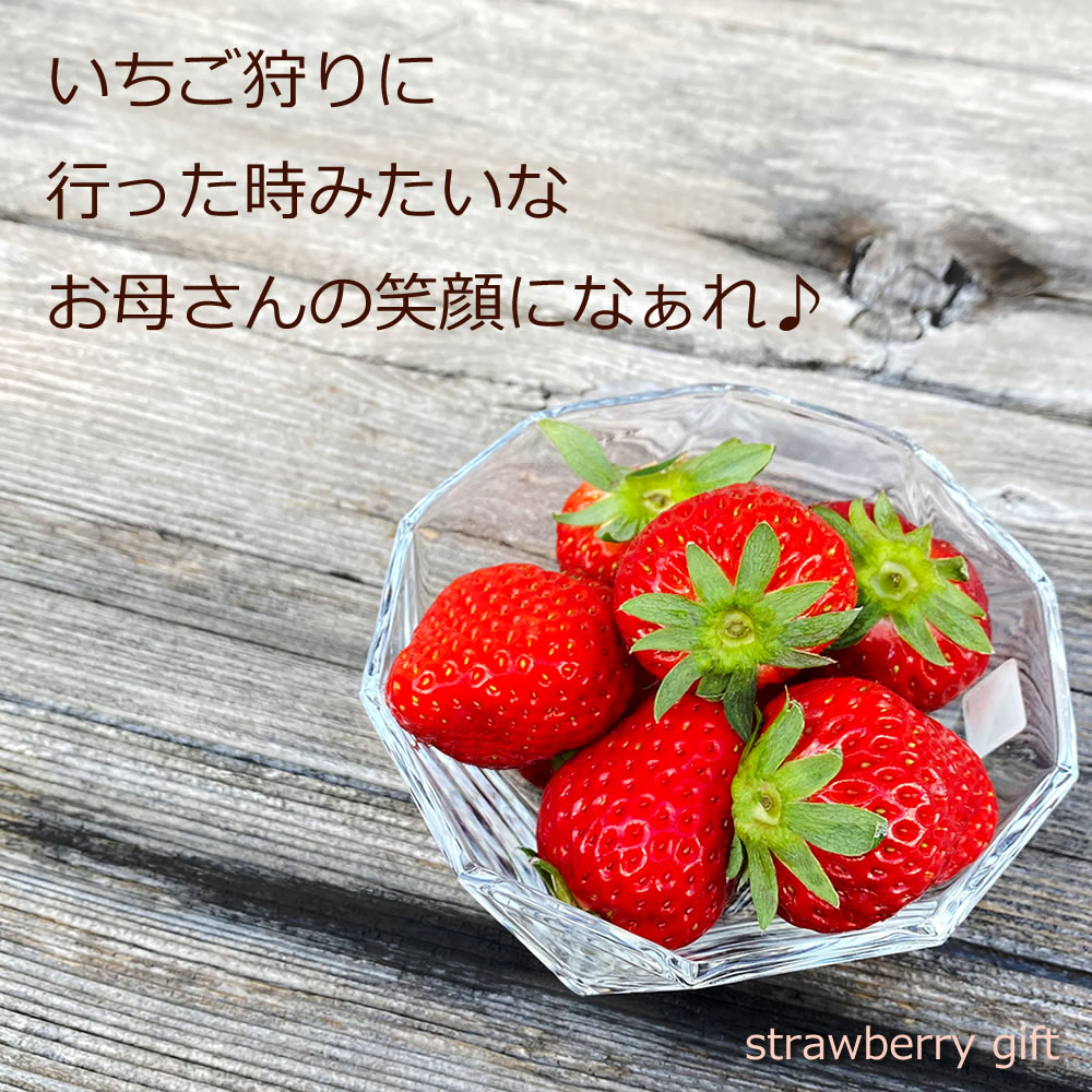 100 の保証 楽天市場 還暦祝い 真っ赤な大粒いちご60粒 朝採れ苺 紅ほっぺ 大粒サイズ 徳島県産 産地直送 宅配便 送料込み 北海道 沖縄 離島へはお届けできません 苺づくし お祝い ギフト ご自宅 生ストロベリー とれたて 摘みたて 果物 幸せのおすそ分けにも 母
