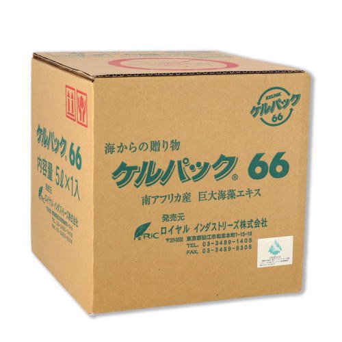 ケル容器に並べる66 5L