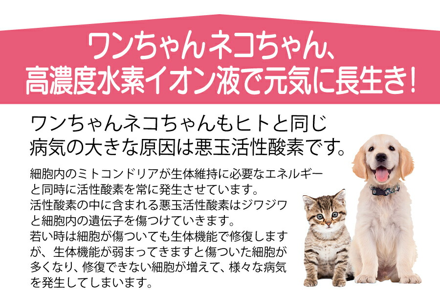 数量限定アウトレット最安価格 水素が抜けない 水素水 犬 ペット 5本購入で1本プレゼント ペット用 セット 水素イオン液 水 水素イオン 健康 ネコ  猫 ねこ 動物 水素 水素水の水素が抜けない水素イオン液 高濃度 原液 タイプ 抜けない 100cc 犬用 猫用 ペット用品 送料 ...