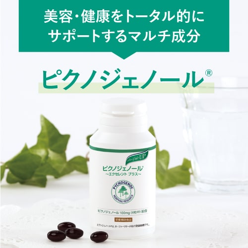 ピクノジェノールエクセレントプラス【30日分・120粒】