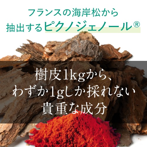 ピクノジェノールエクセレントプラス【30日分・120粒】