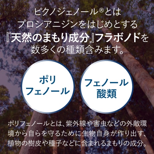 ピクノジェノールエクセレントプラス【30日分・120粒】