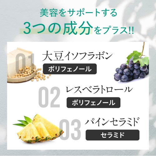 ピクノジェノールエクセレントプラス【30日分・120粒】