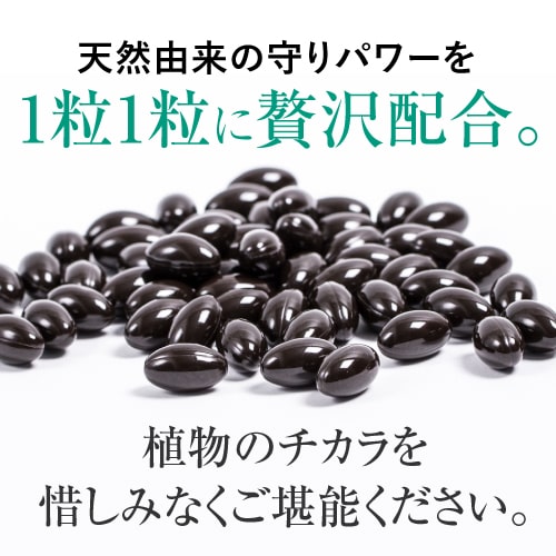 ピクノジェノールエクセレントプラス【30日分・120粒】
