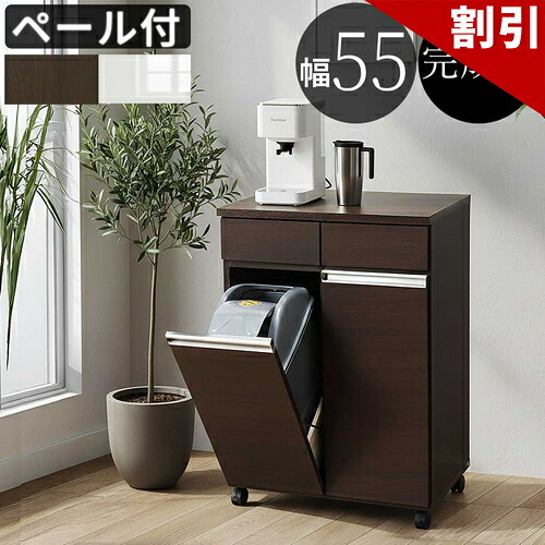 最大限度3000円OFF引き換え証散り散り中 06/09(火)00:00～ 高品質 2カテゴリー化 紙くずかご 幅55珊 ダイニングダストボックス2D 白いこと 赤銅色 勝手もと用紙くずかご 勝手もと やり方台 納める ゴミが見えない 蓋付き添い人 紙くずかご 今めかしい ゴミカテゴリー化 キャスター ストッパー付き添い人 幅60