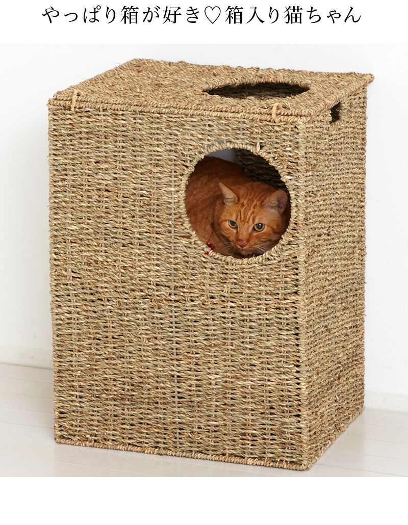 お1人様1点限り 楽天市場 猫ちぐら 幅43cm ペット用 ボックス 天然素材 ペット用ハウス 猫ハウス 遊び場おもちゃトンネル 籠カゴかご箱ボックス 猫トンネルおもちゃ 箱 はこ型 にゃんこ 猫トンネルおもちゃ ウォーターヒヤシンス製 インテリア雑貨 サンゴスタイル