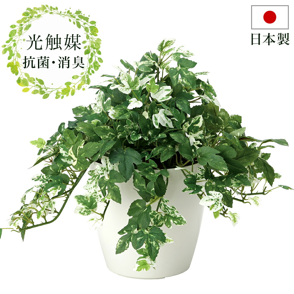 抗菌 フェイクグリーン 玄関 彩り 消臭 光触媒人工観葉植物 防汚 おしゃれ 光触媒 消臭 ナチュラル 観葉植物 光触媒 ニオイを分解 ペットの臭い対策 お祝い等ギフトにもお勧め 観葉植物 フェイクグリーン 幅40cm 光触媒 人工観葉植物 おしゃれ 抗菌 ナチュラル 消臭 玄関