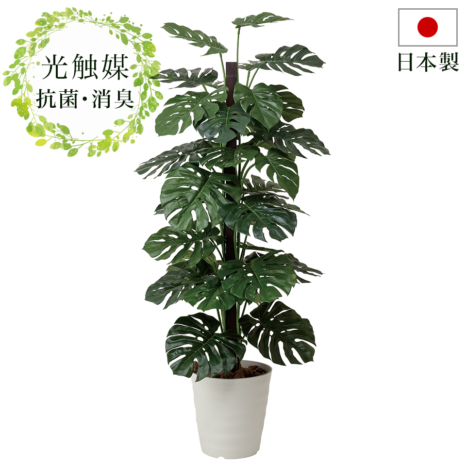 観葉植物 フェイクグリーン 幅60cm 光触媒 人工観葉植物 おしゃれ 抗菌 ナチュラル 消臭 玄関 日本製 観葉植物 ニオイを分解 V Cat 防汚 ホルムアルデヒド分解力 造花 光触媒 ペットの 臭い対策 お祝い等ギフトにもお勧め Painfreepainrelief Com