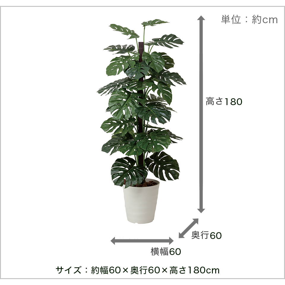 観葉植物 フェイクグリーン 幅60cm 光触媒 人工観葉植物 おしゃれ 抗菌 ナチュラル 消臭 玄関 日本製 観葉植物 ニオイを分解 V Cat 防汚 ホルムアルデヒド分解力 造花 光触媒 ペットの 臭い対策 お祝い等ギフトにもお勧め Spotbuycenter Com