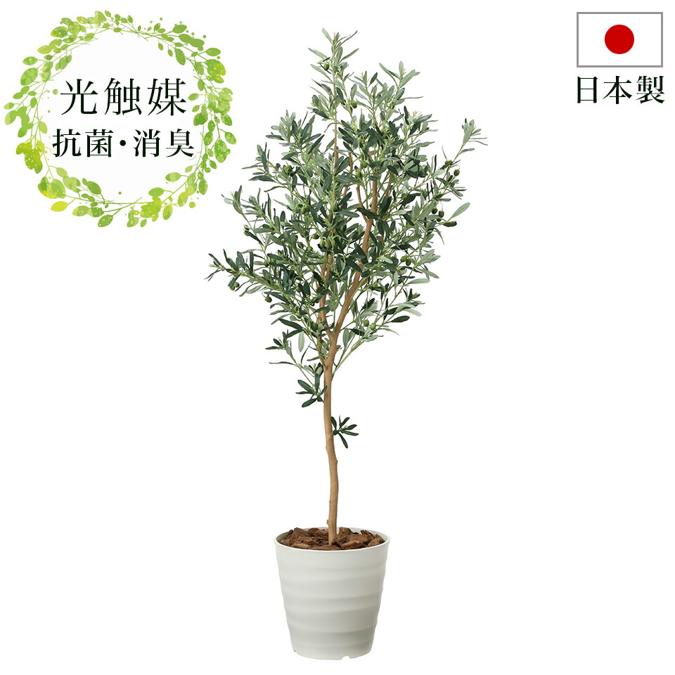 フェイクグリーン 防汚 おしゃれ オリーブの木 抗菌 消臭 臭い対策 光触媒人工観葉植物 ナチュラル 彩り 観葉植物 光触媒 ニオイを分解 防汚 ペットの臭い対策 お祝い等ギフトにもお勧め 観葉植物 フェイクグリーン 光触媒 幅55cm 高さ160cm 光触媒 人工観葉植物 おしゃれ フェイクグリーン 防汚 おしゃれ オリーブの木 抗菌 消臭 臭い対策 光触媒人工観葉植物 ナチュラル 彩り 観葉植物 光触媒 ニオイを分解 防汚 ペットの臭い対策 お祝い等ギフトにもお勧め 観葉植物 フェイクグリーン 光触媒 幅55cm 高さ160cm 光触媒 人工観葉植物 おしゃれ