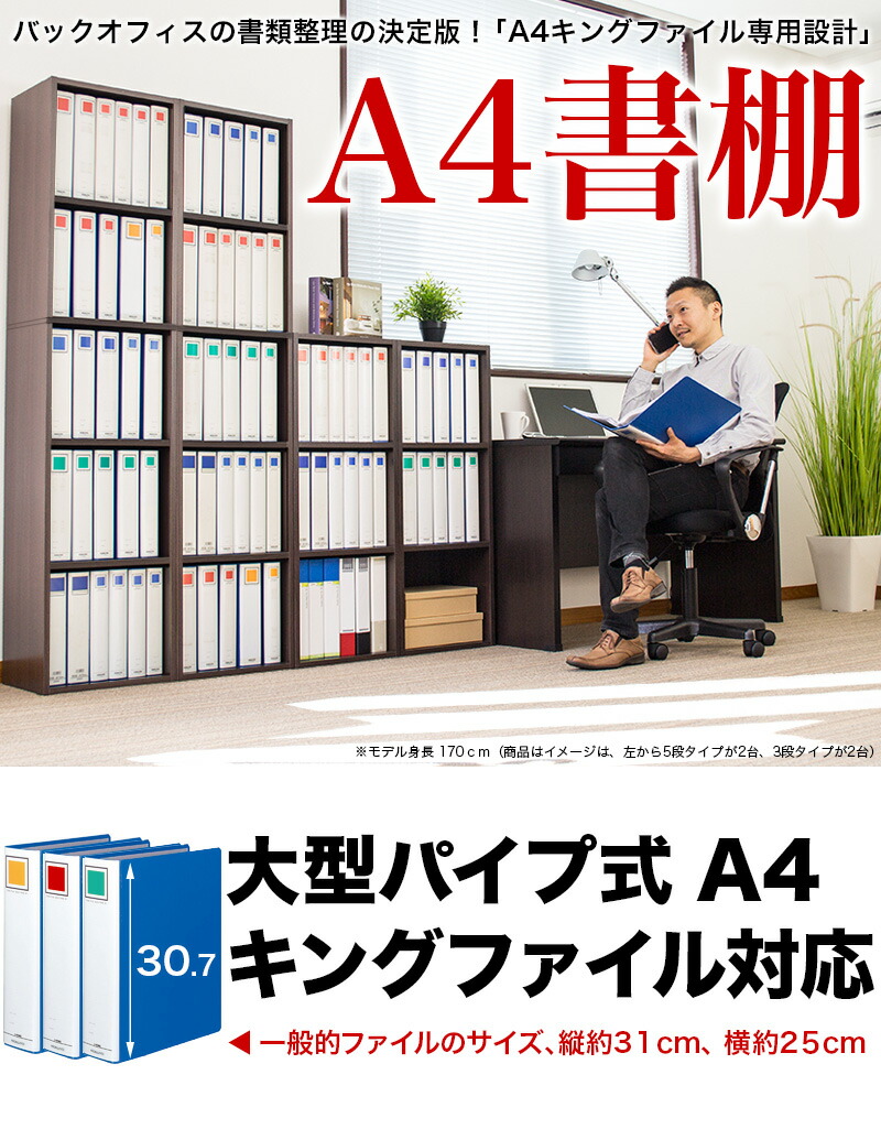 ファイルキャビネット格納 5パラグラフ 範囲40cm 号 クィーンファイル調和 書棚 本箱 5段棚 色調桟敷 5段 壁面収納 ファイル収納棚 オフィス収納 ブックシェルフ 付き 楽観主義 新た食べる Cannes Encheres Com