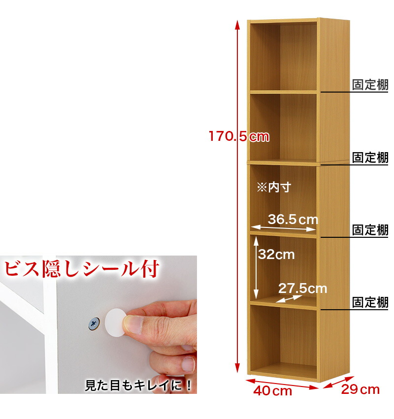 ファイルキャビネット格納 5パラグラフ 範囲40cm 号 クィーンファイル調和 書棚 本箱 5段棚 色調桟敷 5段 壁面収納 ファイル収納棚 オフィス収納 ブックシェルフ 付き 楽観主義 新た食べる Cannes Encheres Com