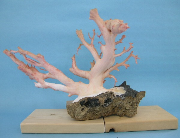 天然 サンゴ 置物 女 人 Amazon.co.jp: ALIWINER リアルな赤い珊瑚像 - 樹脂製 フェイク